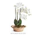 NAPA Home & Garden, WAKEFIELD HANDMADE FESTONEE FORCING POT