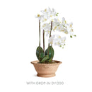 NAPA Home & Garden, WAKEFIELD HANDMADE ALVENA FORCING POT