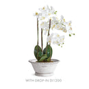 NAPA Home & Garden, WAKEFIELD HANDMADE ALVENA FORCING POT