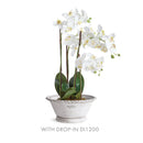 NAPA Home & Garden, WAKEFIELD Handmade Alvena Forcing Pot Collection