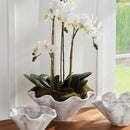NAPA Home & Garden, WAKEFIELD HANDMADE WILEY POT Collection