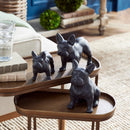 NAPA Home & Garden, Three Dog Night Collection