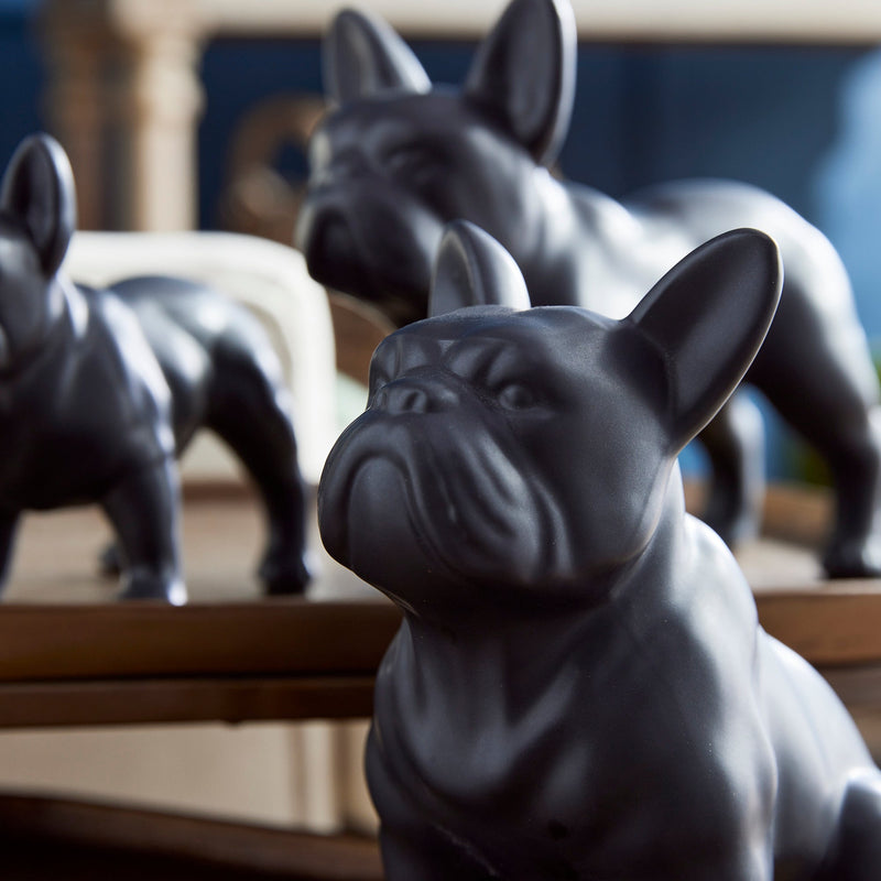 NAPA Home & Garden, Three Dog Night Collection