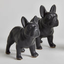 NAPA Home & Garden, Three Dog Night Collection