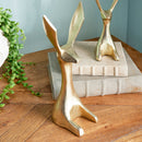 NAPA Home & Garden Jackrabbits Decor Set