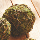 NAPA Home & Garden, MOSSY VINE ORB Collection