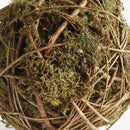 NAPA Home & Garden, MOSSY VINE ORB Collection