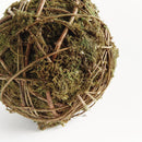 NAPA Home & Garden, MOSSY VINE ORB Collection