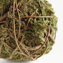 NAPA Home & Garden, MOSSY VINE ORB Collection