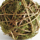 NAPA Home & Garden, MOSSY VINE ORB 4",N4CC06