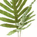 NAPA Home & Garden, HARE'S FOOT BRANCHES 34", BUNDLE OF 2,N4CC09