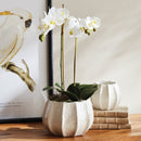 NAPA Home & Garden, ISLANDRA POTS Collection