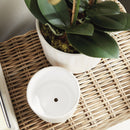 NAPA Home & Garden, CORTINA POTS Collection