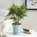 "Plumosa Fern Drop-In by NAPA Home & Garden"