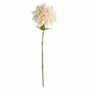 NAPA Home & Garden, Dahlia Stem Collection