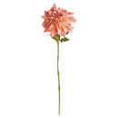 NAPA Home & Garden, Dahlia Stem Collection