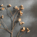 NAPA Home & Garden, CHERRY BLOSSOM SPRAY 37",N4GP08