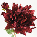 NAPA Home & Garden, Dahlia Stem Collection