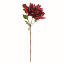 NAPA Home & Garden, DAHLIA STEM 21.5",N4GP12RDD