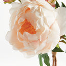 NAPA Home & Garden, PEONIES 21", BUNDLE OF 3,N4GP212RGL