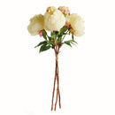 NAPA Home & Garden, Peonies Bundle