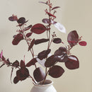 NAPA Home & Garden, Silver Dollar Eucalyptus Branch