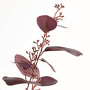 NAPA Home & Garden, Silver Dollar Eucalyptus Branch