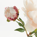 NAPA Home & Garden, PEONY STEM Collection
