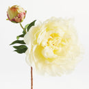 NAPA Home & Garden, PEONY STEM Collection