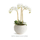 NAPA Home & Garden, AVANI POT LARGE,N4NG03WH