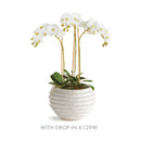 NAPA Home & Garden, AVANI POT Collection