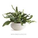 NAPA Home & Garden, AVANI DECORATIVE BOWL,N4NG06WH