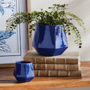 NAPA Home & Garden, APEX POTS Collection