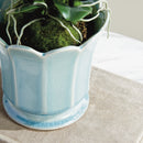 NAPA Home & Garden, Decorative Home Accents Collection