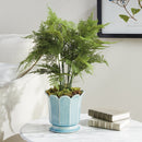 NAPA Home & Garden, Decorative Home Accents Collection