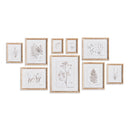 NAPA Home & Garden, BOTANICAL STUDY IN SEPIA, SET OF 9,N4NH02