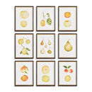 NAPA Home & Garden, ASSORTED FRUITS STUDY, SET OF 9,N4NH11