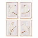 NAPA Home & Garden, WHITE COCKATOO PRINTS, SET OF 4,N4NH28