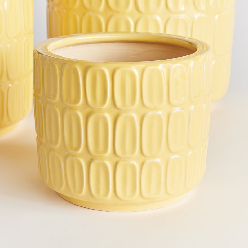 NAPA Home & Garden, SOPHIE POTS, SET OF 3,N4SR13YL