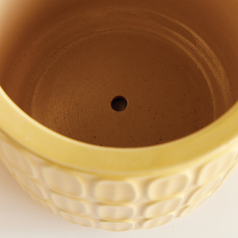 NAPA Home & Garden, SOPHIE POTS, SET OF 3,N4SR13YL