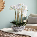 NAPA Home & Garden, SERENA DECORATIVE BOWL,N4SX03