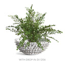 NAPA Home & Garden, SERENA DECORATIVE BOWL,N4SX03