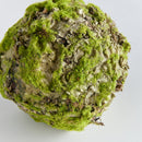 NAPA Home & Garden, MOSSY LICHEN ORB Collection
