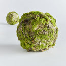NAPA Home & Garden, MOSSY LICHEN ORB Collection