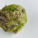 NAPA Home & Garden, MOSSY LICHEN ORB Collection