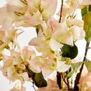 NAPA Home & Garden Bougainvillea Stems Bundle