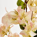 NAPA Home & Garden Bougainvillea Stems Bundle