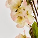 NAPA Home & Garden Bougainvillea Stems Bundle