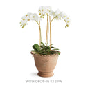 NAPA Home & Garden, WAKEFIELD HANDMADE ALVENA POT Collection