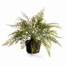 NAPA Home & Garden, SOFT FERN DROP-IN Collection